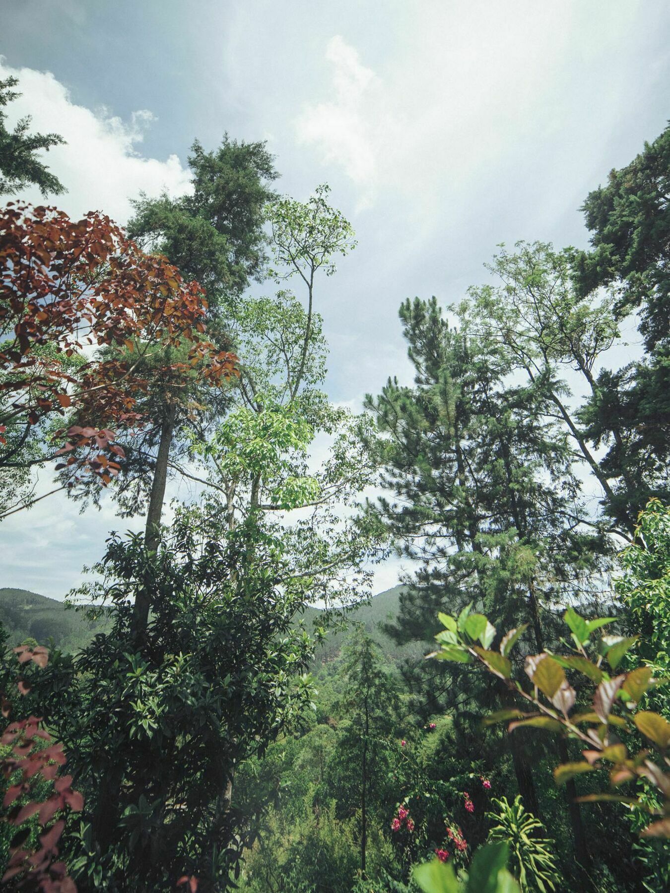 Villa Republic Bandarawela Exterior photo