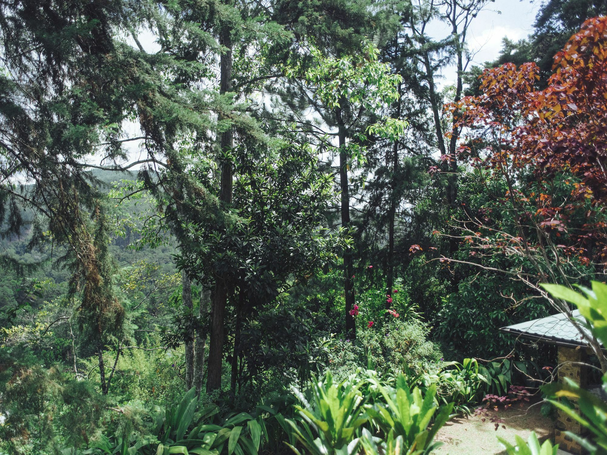 Villa Republic Bandarawela Exterior photo